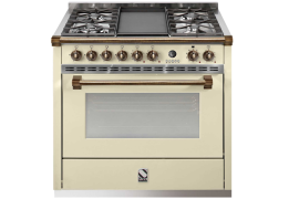 ASCOT freestanding stove with gas hob and oven+steam oven (AQ9S-4M)